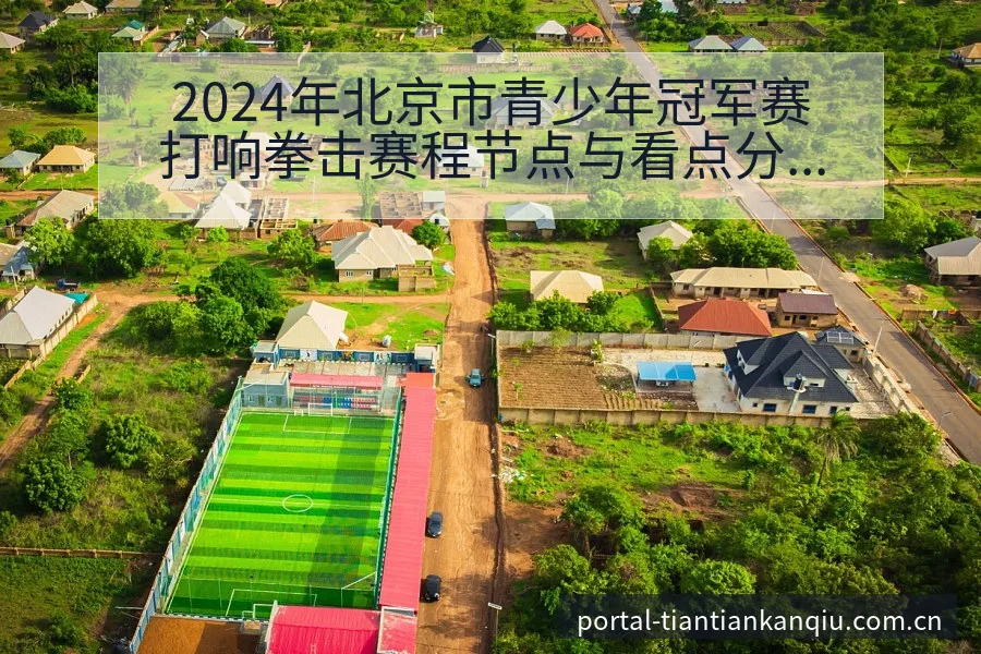 2024年北京市青少年冠军赛打响拳击赛程节点与看点分析风 - 天天看球app